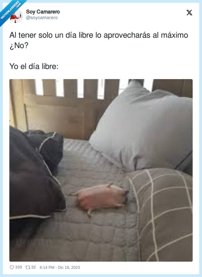 aprovechar,máximo,día libre