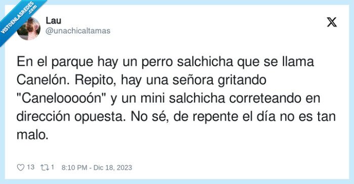 canelooooón,perro,dirección,salchicha,gritando,canelón