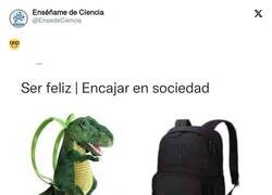 Enlace a Opto por la primera, por @EnsedeCiencia