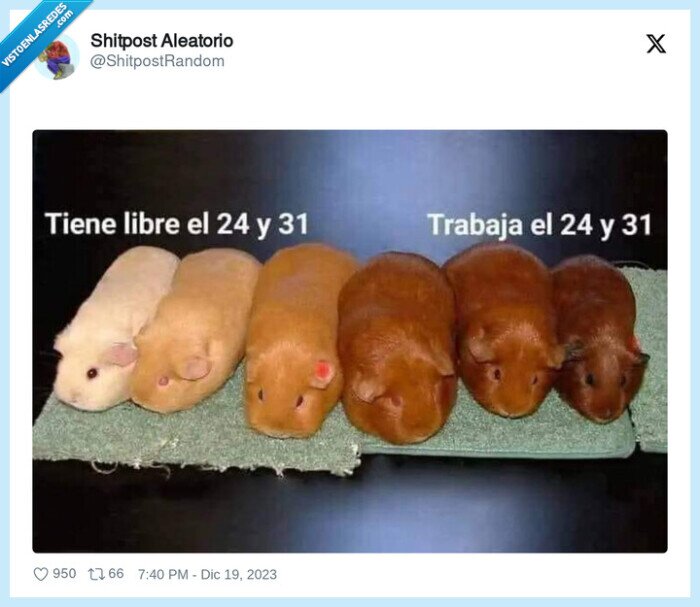 navidad,color,inmigrantes,curro