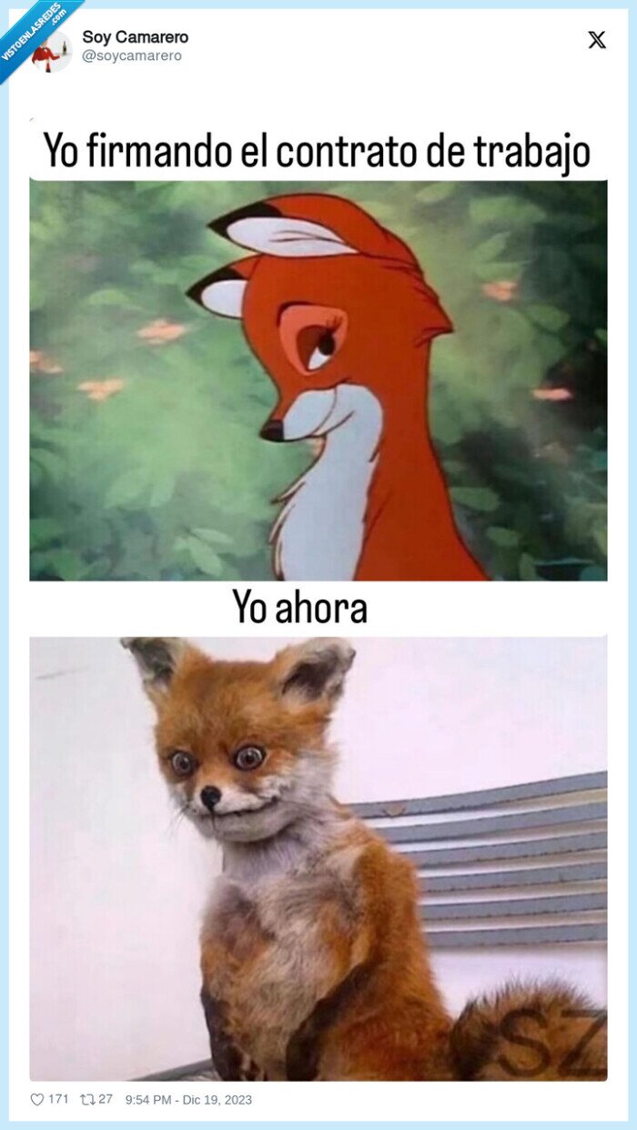 trabajo,quemado,zorro