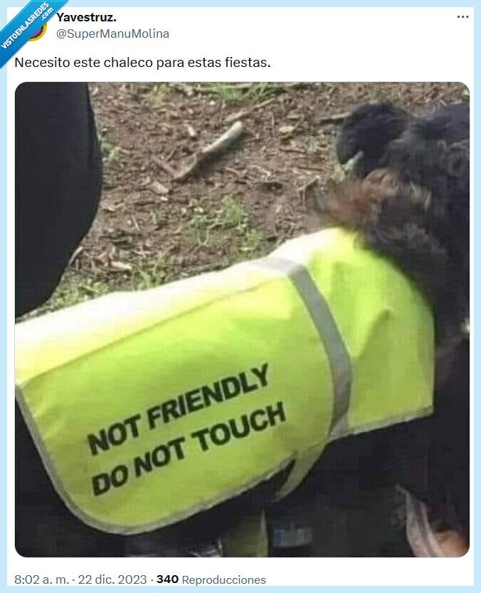 chaleco,tocar,fiestas