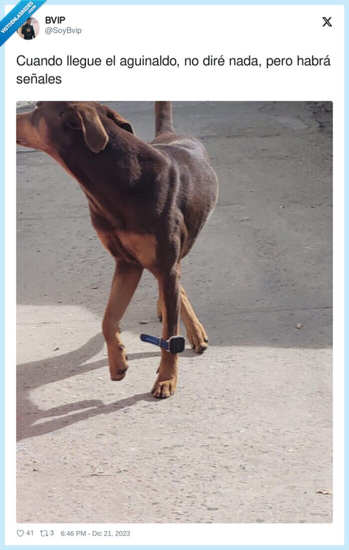 aguinaldo,señales,perro,apple watch