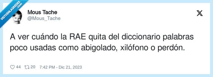 diccionario,abigolado,xilófono,palabras,perdón