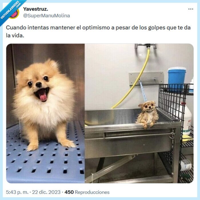 optimismo,golpes,vida