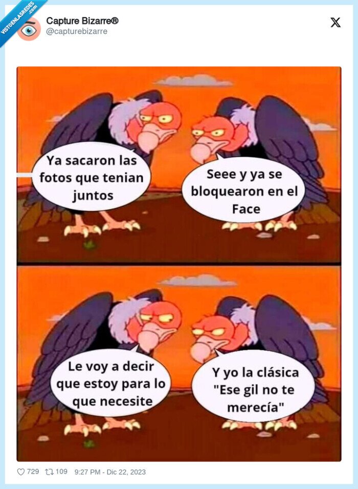 buitres,novia,fotos