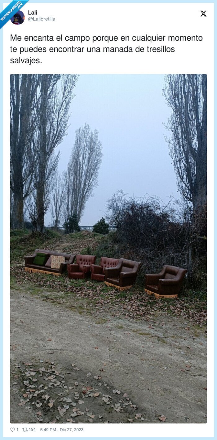 encontrar,tresillos,salvajes,bosque