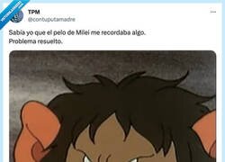 Enlace a Milei, el troll de David el gnomo, por @contuputamadre