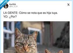 Enlace a De tal palo, tal astilla, por @iLu_S_A