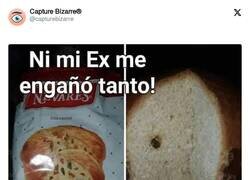 Enlace a La decepción de Navidad, por @capturebizarre