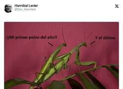 Enlace a Ay pobre animalico, por @Doc_Hannibal