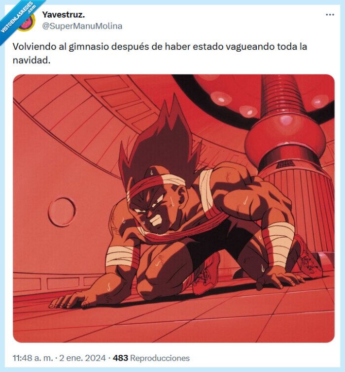 gimnasio,dragon ball,vaguear,navidad