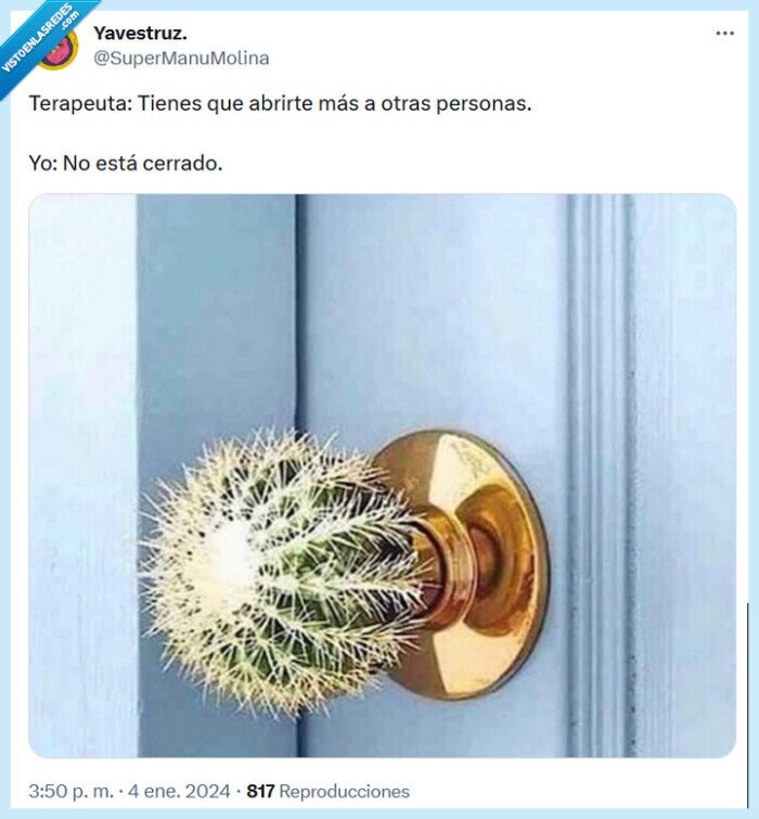 abrir,terapeuta,personas,cactus