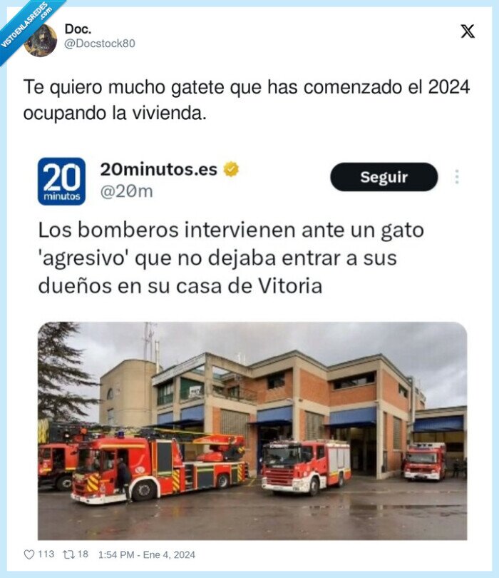 ocupando,vivienda,gatete