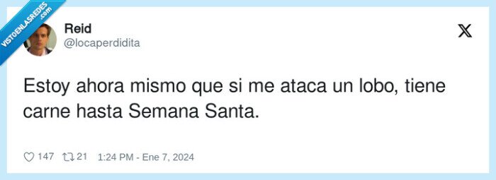 semana santa,atacar,lobo