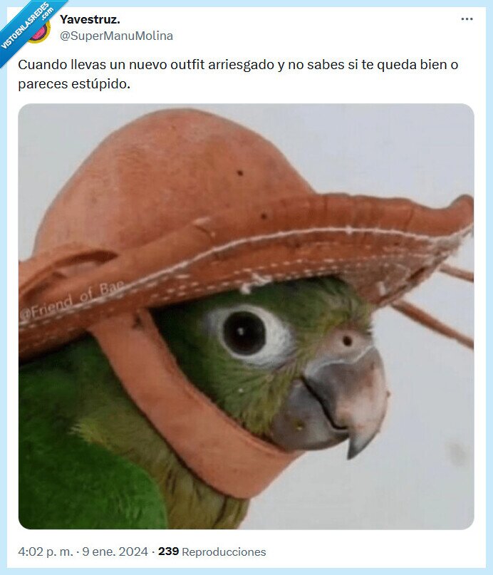 outfit,arriesgado,estúpido