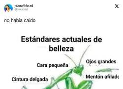 Enlace a Estandares actuales de belleza, por @yisucrist