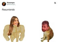 Enlace a Resumiendo, por @Rimanegra_