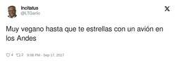 Enlace a A partir de ahí todo vale, por @LTGarlic