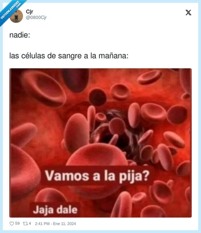 células,mañana,sangre