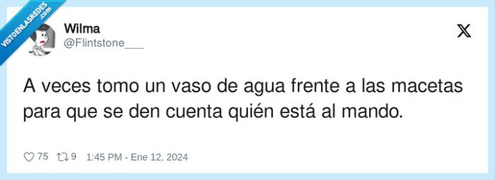 macetas,al frente,mandar,agua