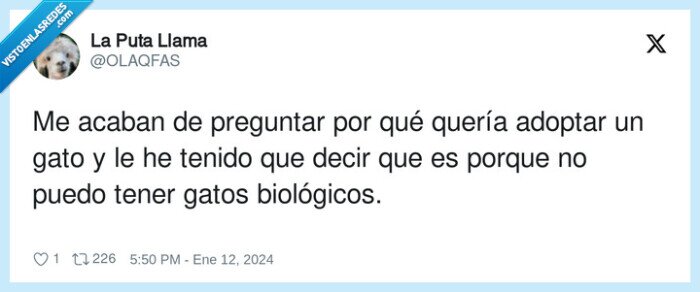 biológicos,preguntar,adoptar,gato