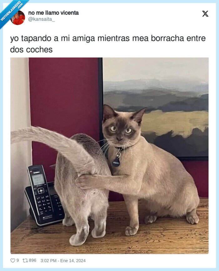 borracha,tapando,coches,amiga