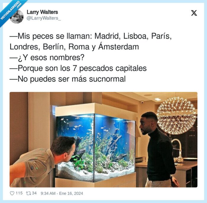 ámsterdam,capitales,pescados,londres,berlín,pecera,peces,pecados