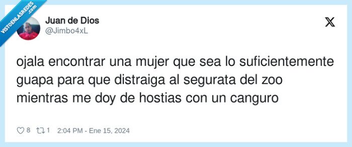 encontrar,distraer,zoo,segurata,canguro