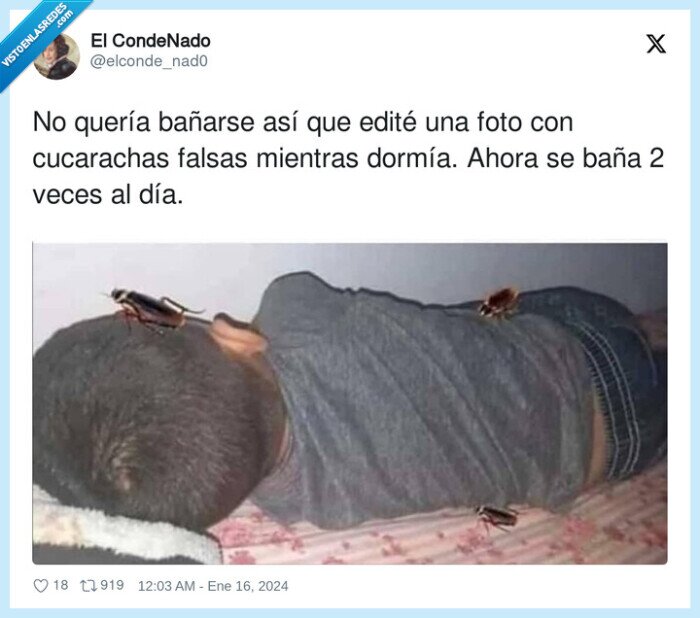 cucarachas,bañarse,dormír,editar