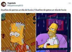 Enlace a Gatos 1 - perros 0, por @Supertramp9713