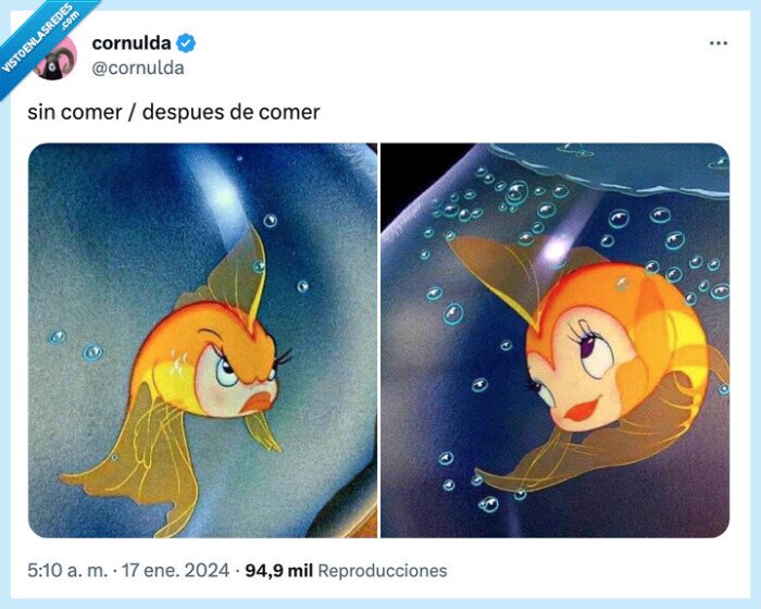 pez,comer,antes,despues