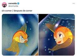 Enlace a No me habléis hasta que no tenga la barriga llena, por @cornulda