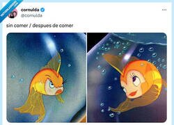 Enlace a No me habléis hasta que no tenga la barriga llena, por @cornulda