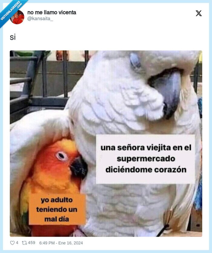 cariño,corazón,anciana,supermercado,viejita,encontrarse