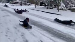Enlace a Cuando llamas a la policía para quejarte de los niños en trineo y la poli es peor que ellos