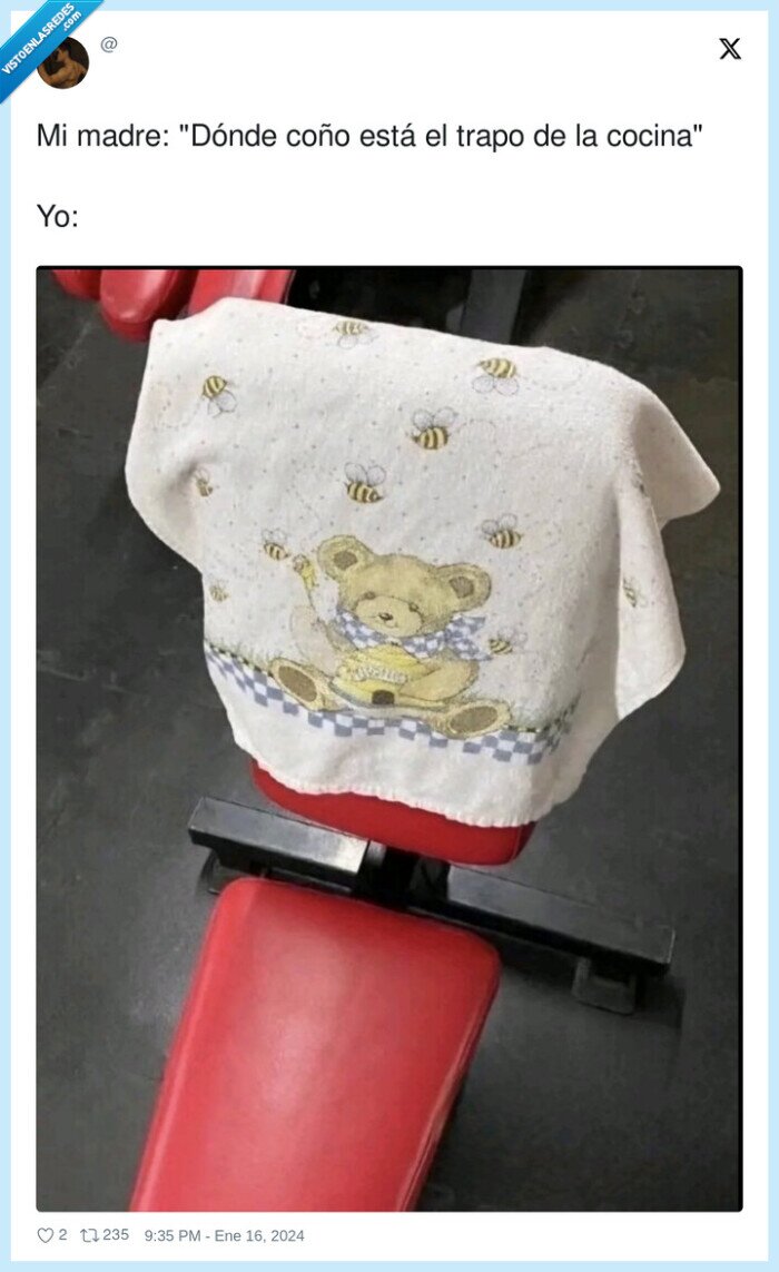 trapo,osito,banco,gym,madre