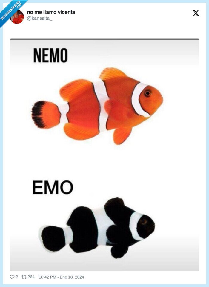 nemo,emo,color,pez