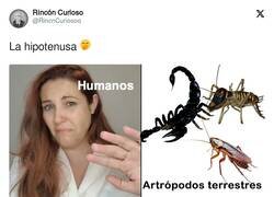 Enlace a El glamour no es el mismo, por @RincnCuriosoo