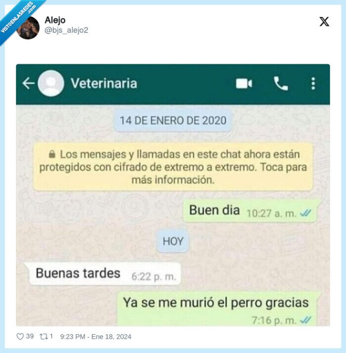 morirse,perro,veterinaria