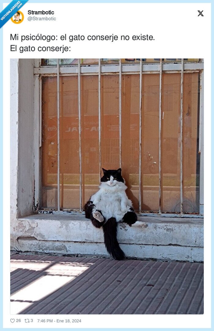 psicólogo,conserje,existe,gato