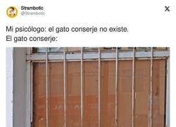 Enlace a El gato conserje, por @Strambotic