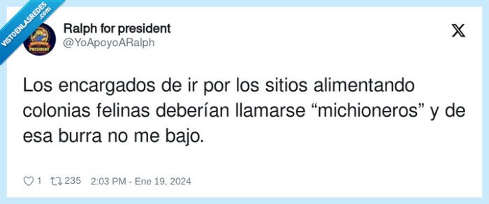 michionero,alimentando,encargados,colonias,gatos