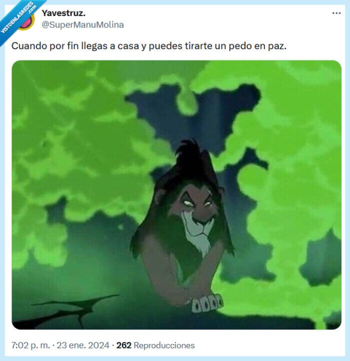 pedo,el rey león,casa