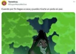 Enlace a El verdadero hakuna matata por @superamanumolina