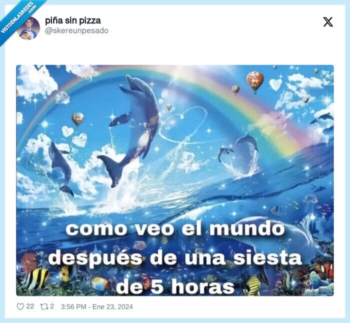 siesta,mundo,alegría,5 horas