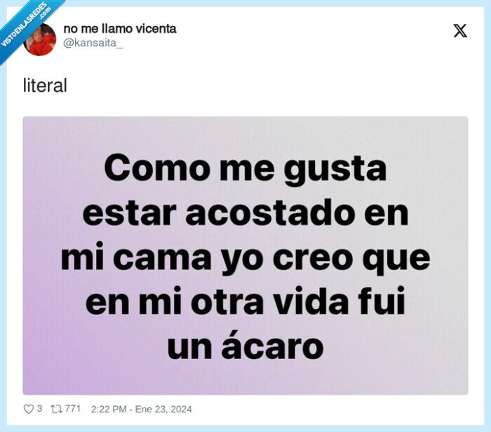 cama,dormir,ácaro,acostado,otra vida