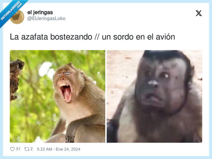 bostezando,azafata,avión,sordo