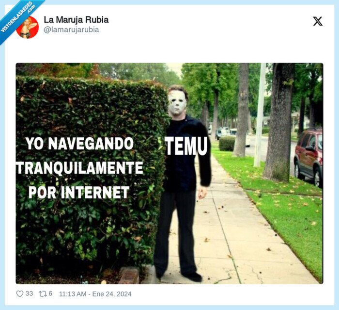 internet,navegar,spam,temu