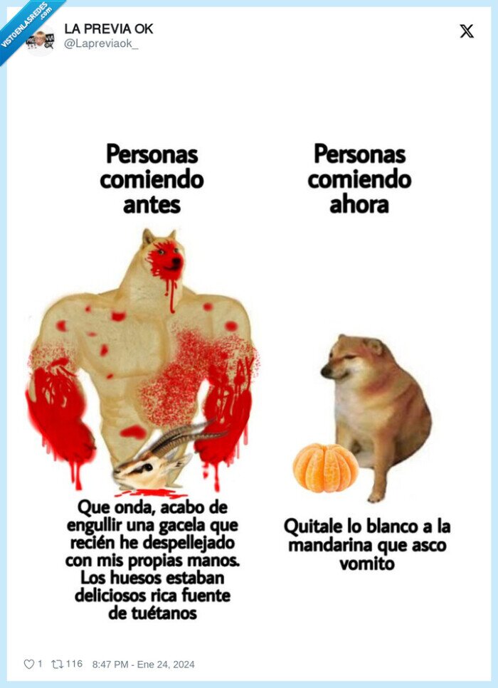 doge,cheems,comer,comida,vomitar